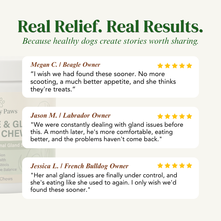 Healthy Paws- Digestive & Gland Health