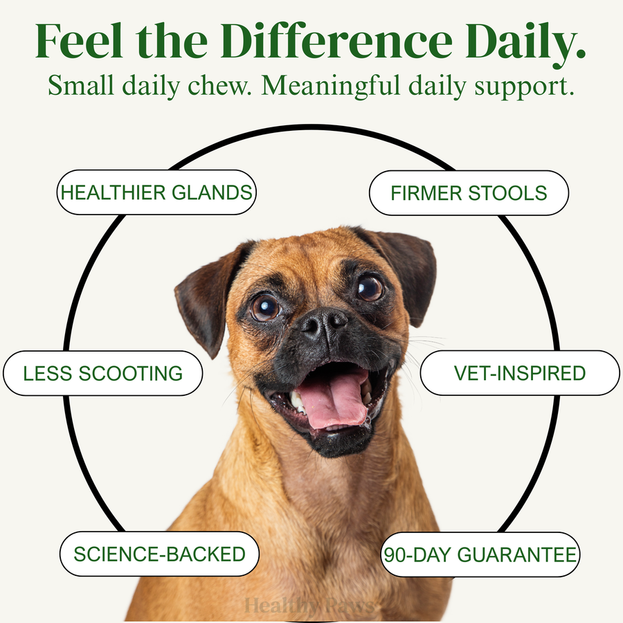 Healthy Paws- Digestive & Gland Health