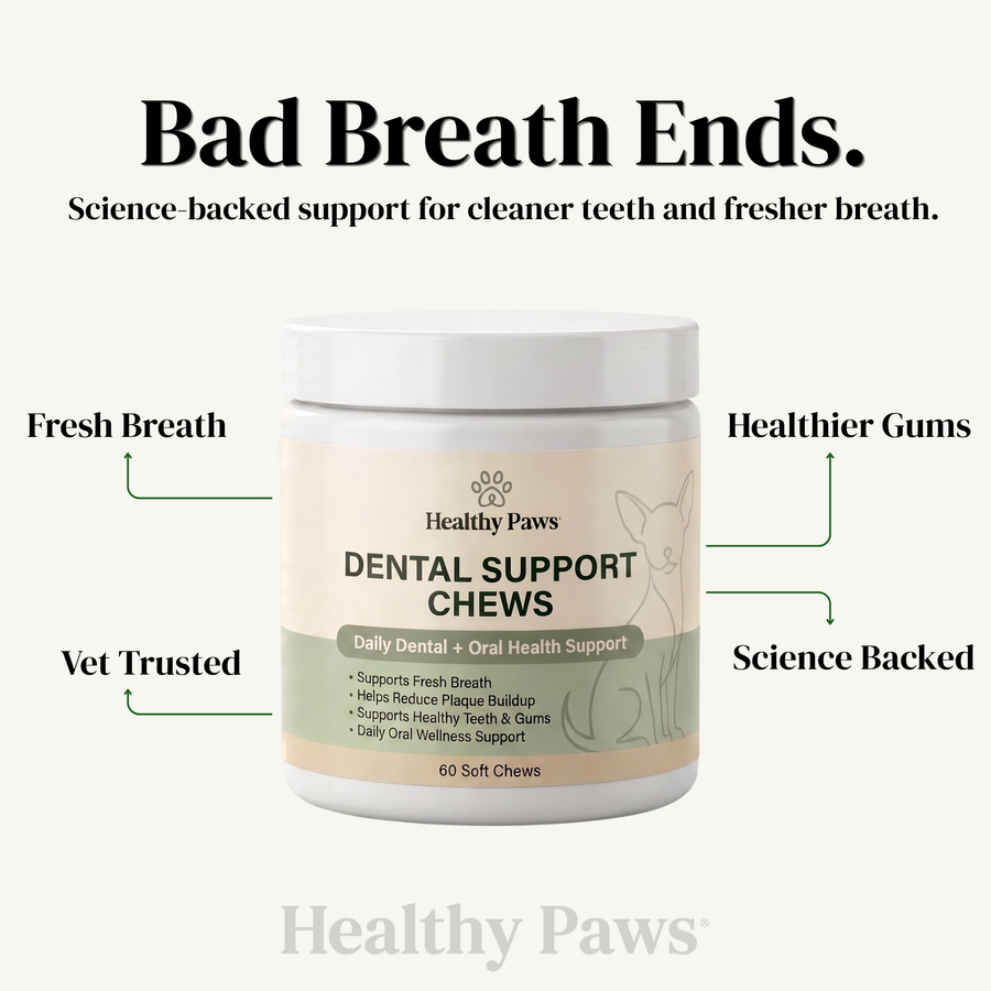 Healthy Paws- Dental Health Chews