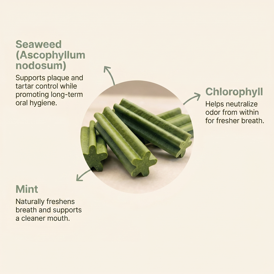 Healthy Paws- Dental Health Chews